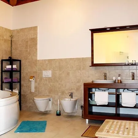 Arton Mit Beheiztem Pool- In Istrien By Interhome *